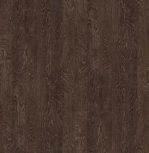 Ивацевичдрев - Береза 261 SWN 2800*2070 16 мм ИВ