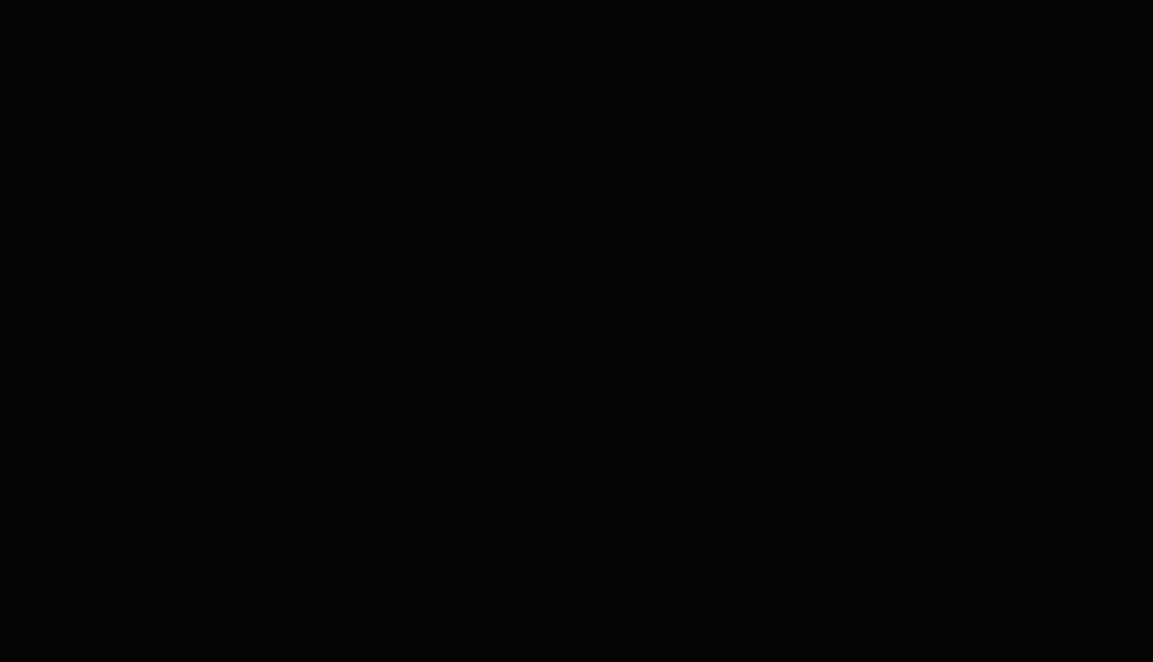 Черный 660 PE 2800*2070 16 мм ИВ